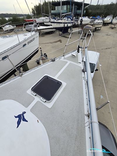 Winner 11.20 Sailingboat 1995, with Yanmar engine, The Netherlands