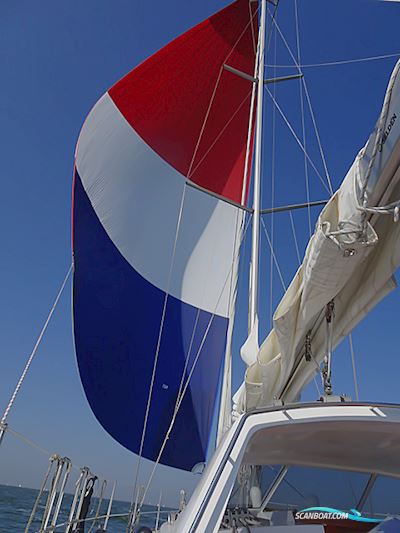 van de Stadt Madeira 44 RBS Sailingboat 2015, with Volkswagen engine, The Netherlands