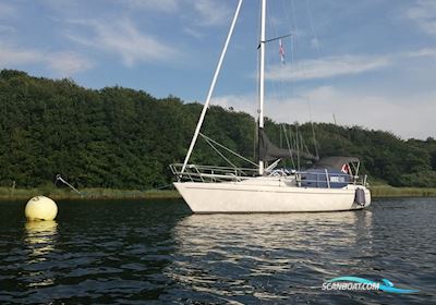 Albin Nova 33 Segelbåt 1982, med Yanmar 3ym20(2013) motor, Danmark