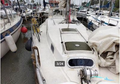 Amel Euros 42 Segelbåt 1978, med Volvo Penta D2-75F motor, Holland