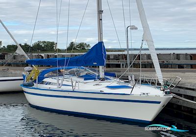 Arcona 32 Segelbåt 1987, med Volvo-Penta D1-20 motor, Tyskland