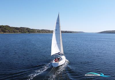 Arcona 36 Segelbåt 1987, med Volvo Penta D1-30 motor, Danmark