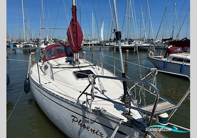 Arion 29 Segelbåt 2008, med Volvo Penta motor, Holland