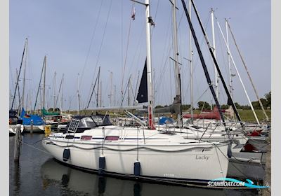 Bavaria 30 Cruiser Segelbåt 2006, med Volvo Penta motor, Holland