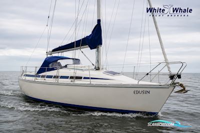Bavaria 30 Segelbåt 1993, med Volvo motor, Holland