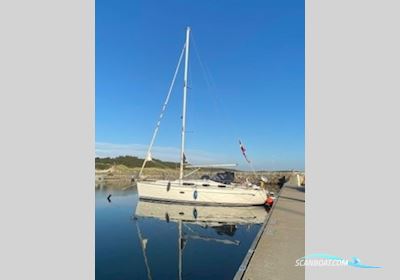 Bavaria 38 Cruiser Segelbåt 2008, med Volvo Penta D2-40B motor, Danmark