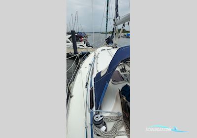 Bavaria 38 Mit Liegeplatz Und Winterlager, Rostock Segelbåt 2004, med Volvo Penta MD 2030 motor, Tyskland