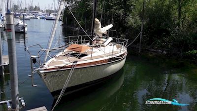 Bavaria 770 -Verkauft- Segelbåt 1981, med Volvo-Penta motor, Tyskland