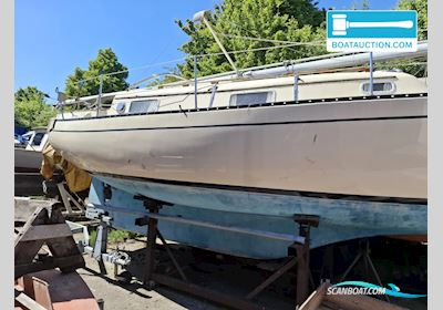 Bayfield 29 Segelbåt 1981, med Yanmar motor, Holland