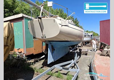 Bayfield 29 Segelbåt 1981, med Yanmar motor, Holland