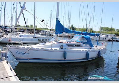 Beneteau 30.5 First Segelbåt 1985, med Yanmar 2GM20 motor, Holland