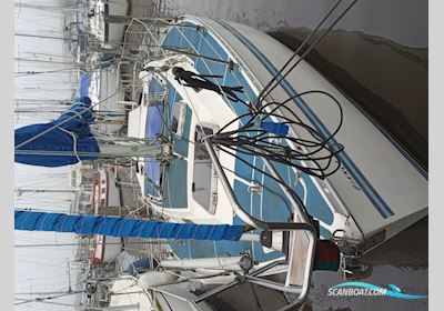 Bianca Yacht Bianca 320 Segelbåt 1990, med Yanmar motor, Holland