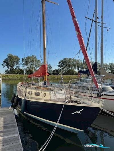 Blauwvoet Custom Steel 10 Meter Segelbåt 1969, med Bukh motor, Holland