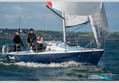 Bolero Quarter Tonner Segelbåt 1981, med Tohatsu motor, Ireland