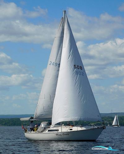 C&C 30E Segelbåt 1984, med Beta Marine motor, Holland