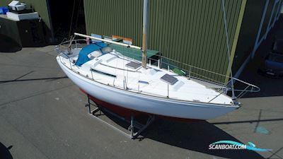 Camper & Nicholsons 31 Segelbåt 1977, med Yanmar D2QM20 motor, Belgien