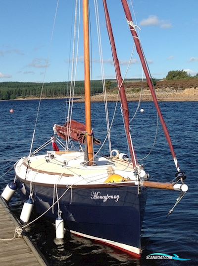 Cape Cutter 19 Segelbåt 2002, med Mariner motor, England