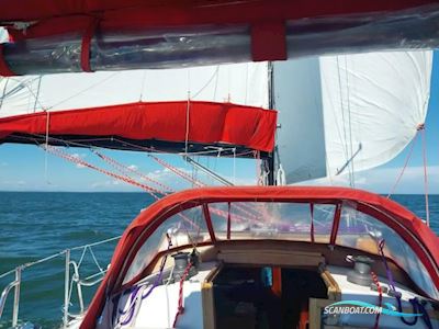 Capital Newport 41s Segelbåt 1979, med Universal motor, Virgin Islands