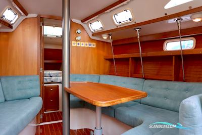 Catalina 320 Segelbåt 1996, Holland