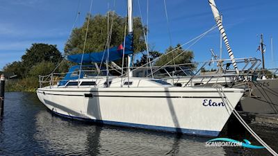 Catalina 320 Segelbåt 1994, med Perkins motor, Holland