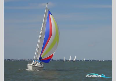 Catalina 36 Segelbåt 1990, med Universal motor, Holland