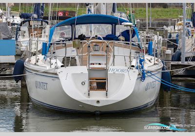 Catalina 36 Segelbåt 1990, med Universal motor, Holland