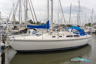 Catalina 36 Segelbåt 1990, med Universal motor, Holland