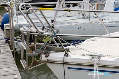 Catalina 36 Segelbåt 1990, med Universal motor, Holland