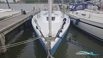 Catalina 36 Segelbåt 1996, med Universal motor, Holland