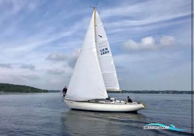 Centurion 32 Segelbåt 1972, med Sole Mini 29, Gori-Faltpropeller / 2 Flügel (2012) Flexible Vetus-Wellenkupplung motor, Tyskland