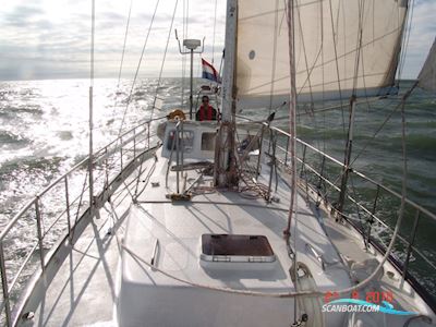Colin Archer 1100 Segelbåt 1992, med Mercedes motor, Holland