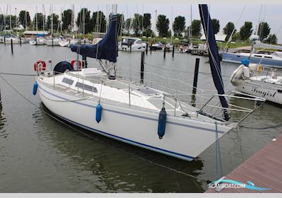 Colvic Liberator 35 Segelbåt 1981, med Solé motor, Holland