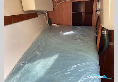 Comfort 32 Segelbåt 1982, med Volvo Penta MD11C motor, Danmark