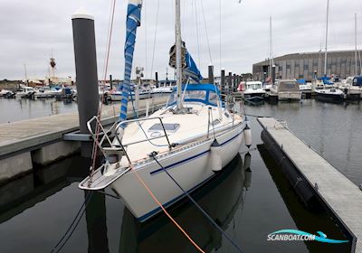 Comfortina 32 Segelbåt 1984, med Vestus motor, Danmark