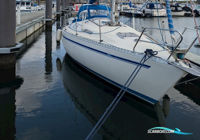Comfortina 32 Segelbåt 1984, med Vetus M3.09 motor, Danmark