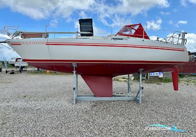 Comfortina 32 Segelbåt 1982, med Volvo Penta MD7B motor, Danmark
