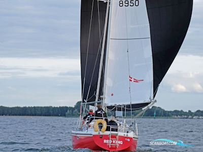 Contest 31 HT-AC Segelbåt 1975, Holland
