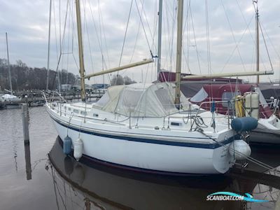 Contest 32 CS Segelbåt 1979, med Volvo Penta motor, Holland