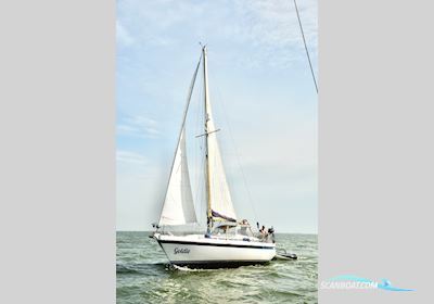 Contest 32 CS Segelbåt 1979, med Volvo Penta motor, Holland