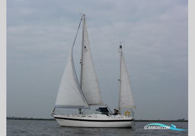 Contest 32 CS Segelbåt 1978, med Volvo Penta motor, Holland