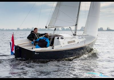 Damarin D23 (Nieuw) Segelbåt 2024, med Yanmar motor, Holland