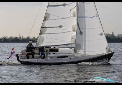 Damarin D23 (Nieuw) Segelbåt 2024, med Yanmar motor, Holland