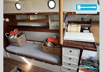 Danish Rose 31 Segelbåt 1980, med Thornycroft motor, Holland