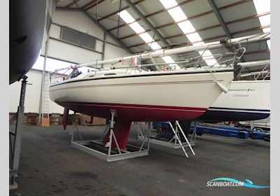 Dehler 28S Segelbåt 1994, med Volvo Penta motor, Holland