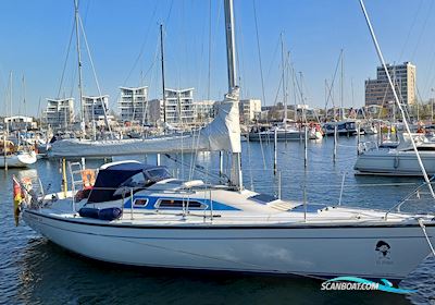 Dehler 34 / Optima 106 Segelbåt 1987, med Yanmar 2 GM 20 F motor, Tyskland