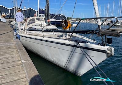 Dehler 34 Optima 101 Segelbåt 1986, med Yanmar 2gm20 motor, Danmark