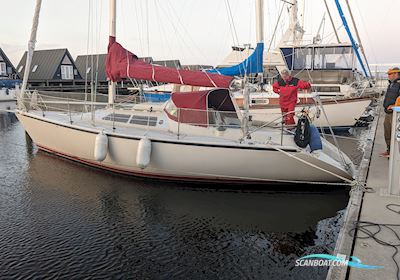 Dehler 34 Segelbåt 1985, med Yalmar 2gm20 motor, Danmark