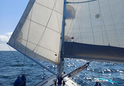 Dehler 35 Cws Segelbåt 1994, med Yanmar motor, Danmark