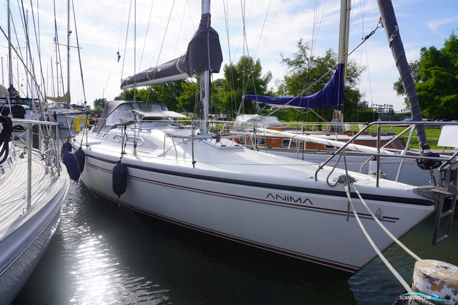 Dehler 36 Cws Segelbåt 1993, Holland