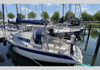 Dehler 372 Segelbåt 1986, med Yanmar motor, Holland